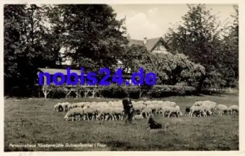 99880 Schnepfenthal Klostermühle Schafe o 1938