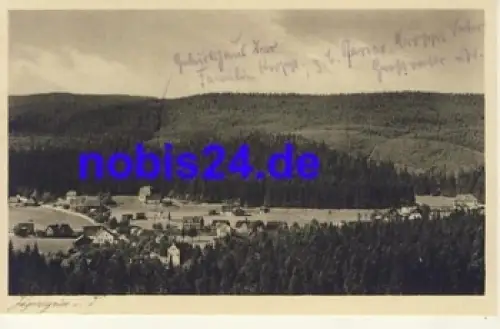 08262 Jägersgrün *ca.1930