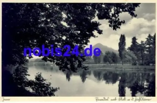 Jena Blick vom See zum Gerg  *ca.1939