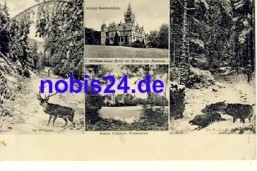 07768 Kahla Schlösser Wildpark Tiere o 1908