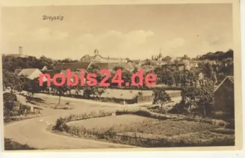 06722 Droyssig *ca.1915