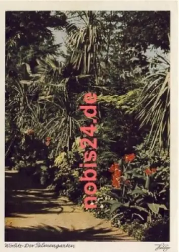 06786 Wörlitz Park Palmengarten  *ca.1955