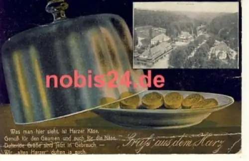 06493 Harzgerode Künstlerkarte o ca.1922