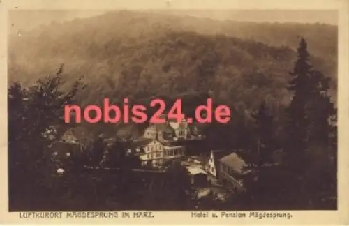 06493 Mägdesprung Hotel o 12.4.1921