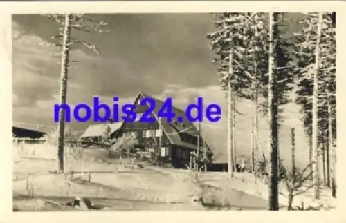 01773 Altenberg Raupennest o 1952