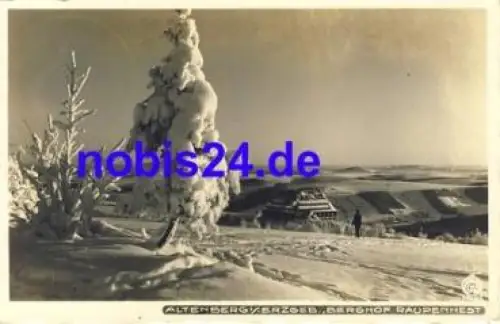 01773 Altenberg Raupennest o 1933 Hahn-Foto6761