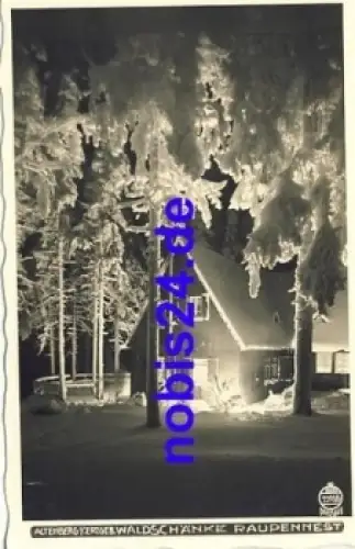 01773 Altenberg Raupennest o ca.1935 Hahn-Foto11956