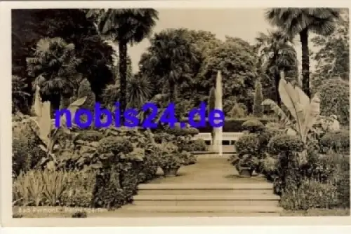 31812 Bad Pyrmont Palmengarten  *ca.1930