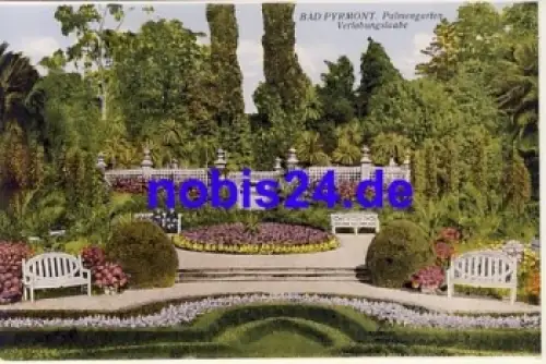 31812 Bad Pyrmont Palmengarten *ca.1915
