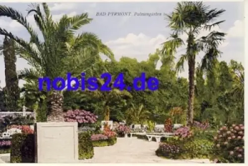31812 Bad Pyrmont Palmengarten *ca.1920