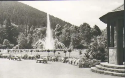 98693 Ilmenau im Kurpark *ca. 1960