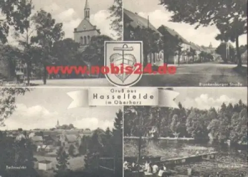 38899 Hasselfelde Ansichtskarte o 25.8.1960