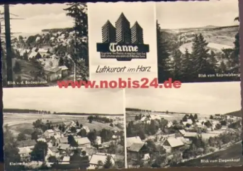 38875 Tanne Harz *ca. 1959