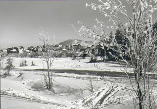 01773 Altenberg Eerzgebirge *1981 Hanich1471