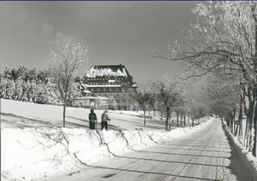 01773 Altenberg neues Raupennest *1959 Hanich1470