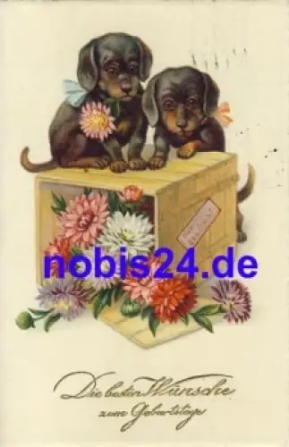 Dackel mit Postkiste o 1928