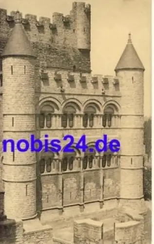 Gand Chateau Comtes Flandre BELGIEN  *ca.1915