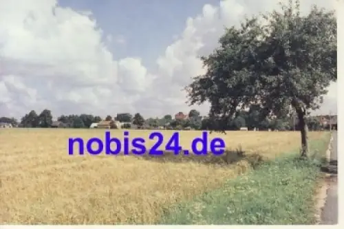 01477 Fischbach Arnsdorf *ca.1960