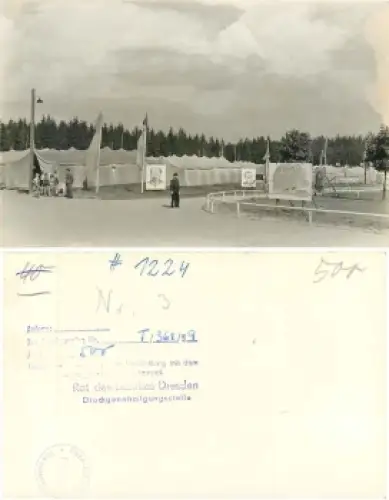 01773 Altenberg Erzgebirge Pionierlager Druckvorlage *1959 Hanich1224