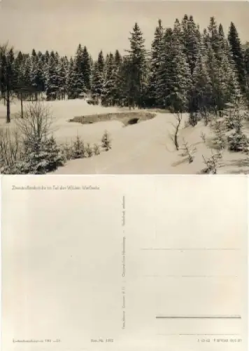 01776 Seyde Zinnstrassenbrücke Tal der Wilden Weisseritz *1962 Hanich1481