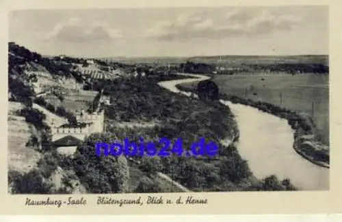 06618 Naumburg Blütengrund  *ca.1950