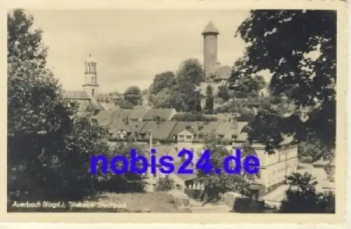 08209 Auerbach vom Stadtpark o 1954
