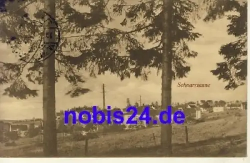 08209 Auerbach Schnarrtanne o 1925