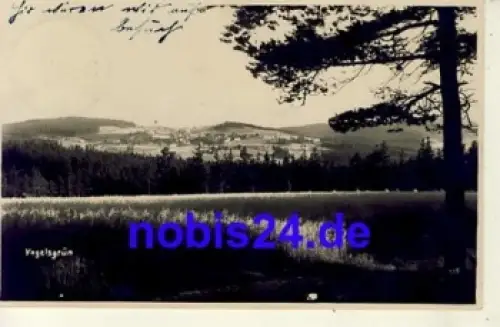 08209 Vogelsgrün o 1928