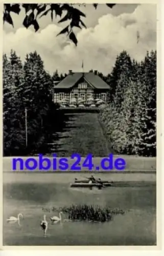 08223 Falkenstein Naturpark o 1937