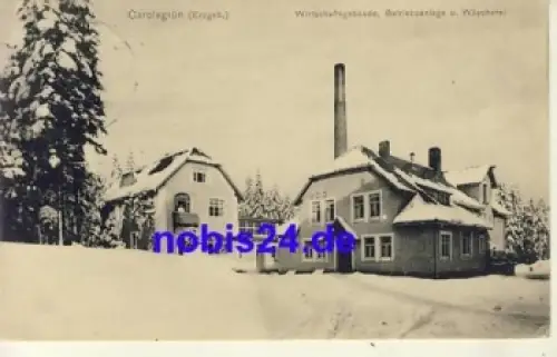 08209 Carolagrün Wäscherei o 1910