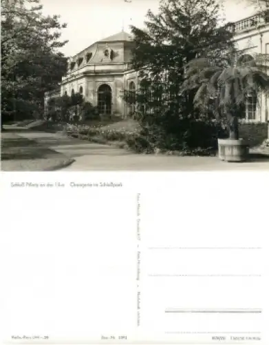 Pillnitz Dresden Orangerie Schlosspark *1958 Hanich1091