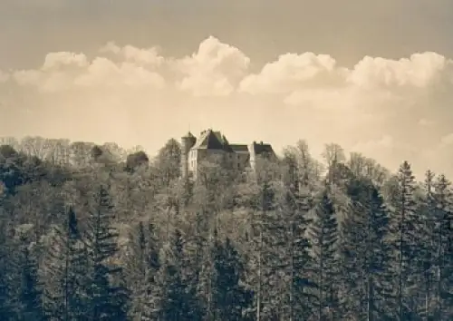 01773 Bärenstein Altenberg Schloss Erholungsheim NDPD *1962 Hanich1332