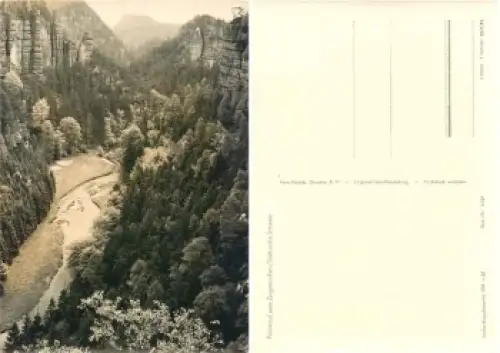 01848 Polenztal vom Ziegenrücken Sächsische Schweiz *1961 Hanich1349