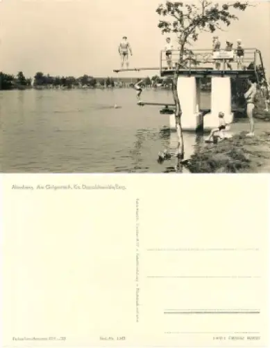 01773 Altenberg Erzgebirge Galgenteich mit Sprungturm *1961 Hanich1342