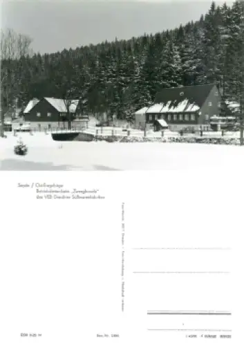 01776 Seyde Zwergbaude Ferienheim der Süsswarenfabriken Dresden *1981 Hanich1486