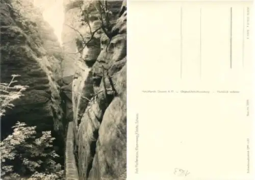 01824 Pfaffenstein Klammweg Sächsische Schweiz Kletterfelsen *1963 Hanich1563