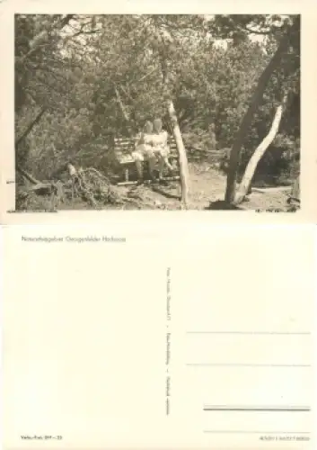 01773 Zinnwald Georgenfelder Hochmoor  *1957 Hanich oN