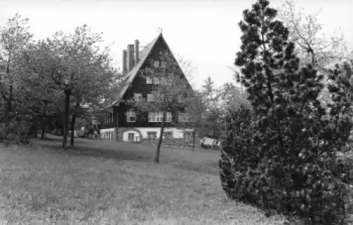 01773 Zinnwald Georgenfeld Genesungsheim "Lug ins Land"  *1964 Hanich