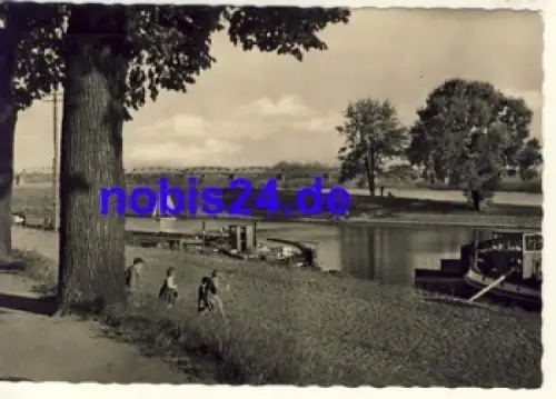 19322 Wittenberge Elbpartie *ca.1958