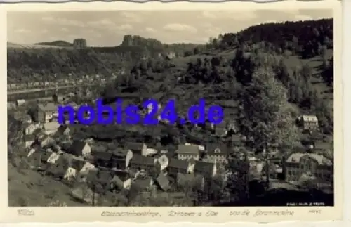 01814 Krippen Sächsische Schweiz  *  um 1930 Hahn-Foto 11542
