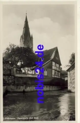 Paderborn Paderquelle *ca.1930