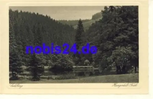 98559 Gehlberg Hungertalteich *ca.1929