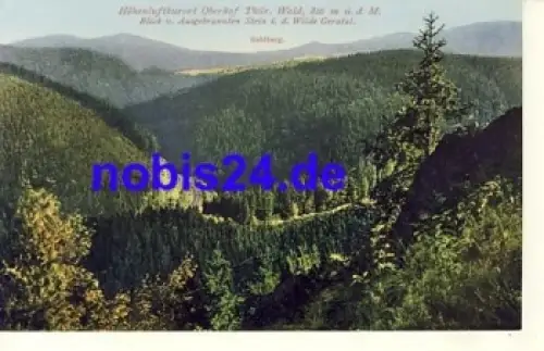 98559 Gehlberg *ca.1927