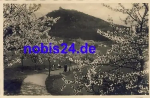 Teplice Schlossberg o 1934