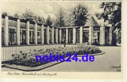 08645 Bad Elster Moritzquelle *ca.1935
