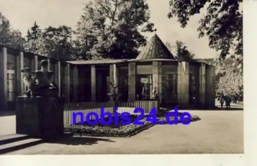 08645 Bad Elster Moritzquelle o ca.1962