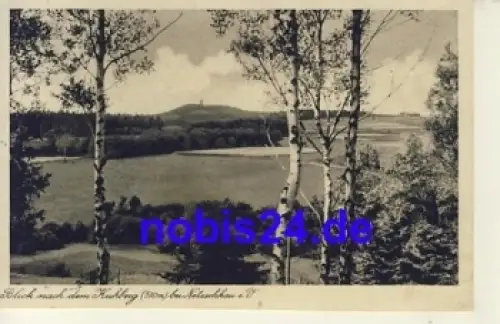 08491 Netzschkau Blick Kuhberg o 1936