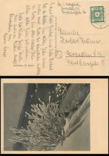 SBZ Ost-Sachsen Michel 57 Einzelfrankatur auf Postkarte o Dresden 28.12.1945