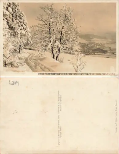 01778 Geising Erzgebirge * um 1940 Verlag Hahn-Foto6800