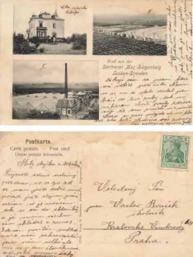 Leuben Dresden Gärtnerei Max Ziegenbalg gebraucht um 1910
